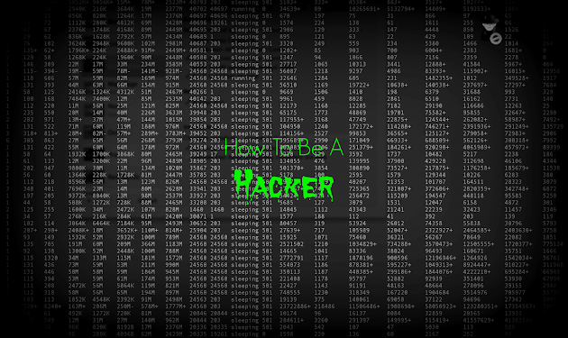 How to be a hacker
